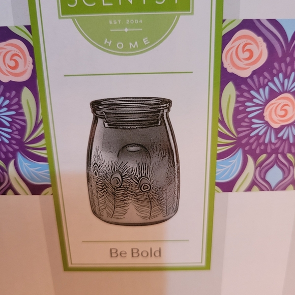 Scentsy Warmer - Picture 2 of 4